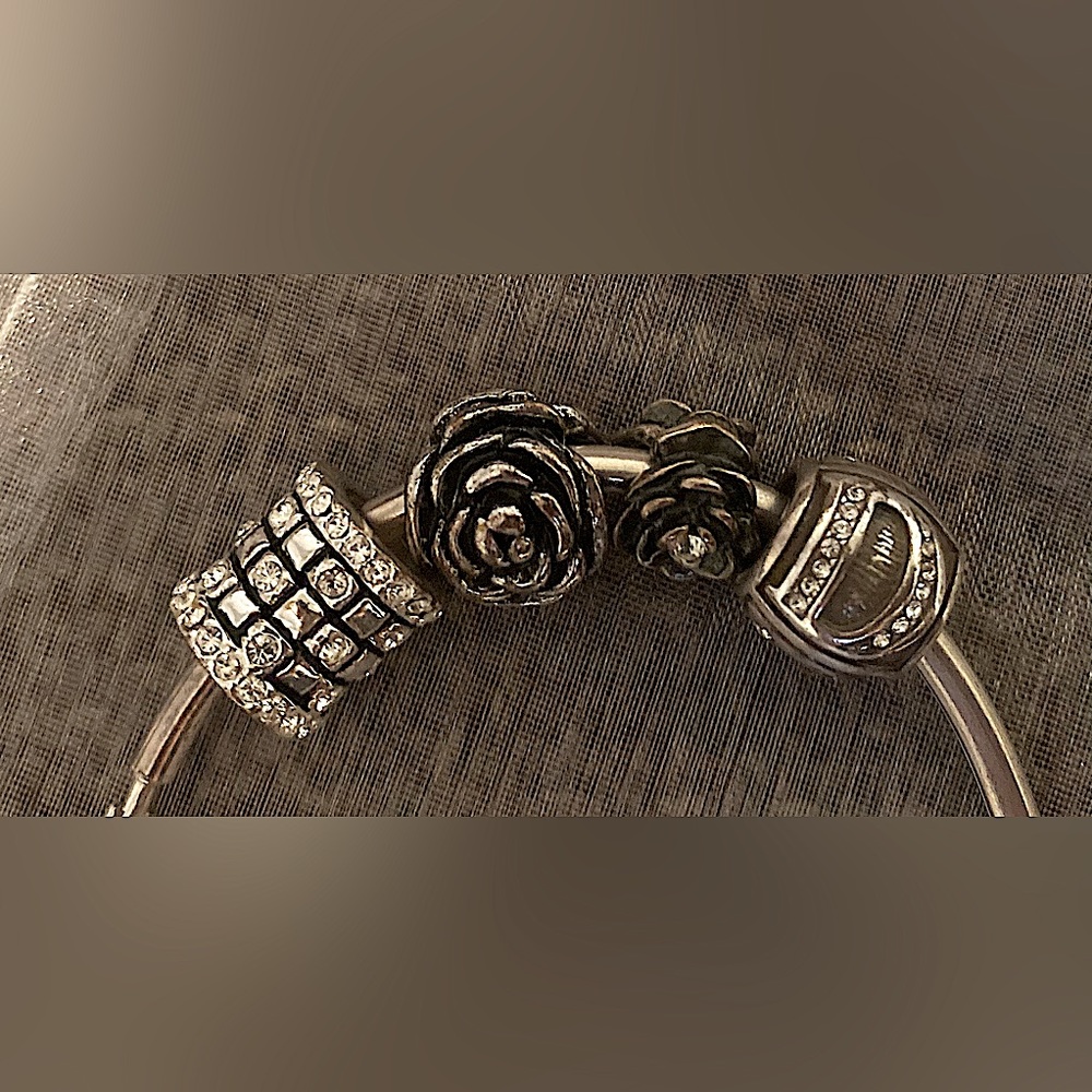 ✨(4) Pandora Bracelet Charms✨